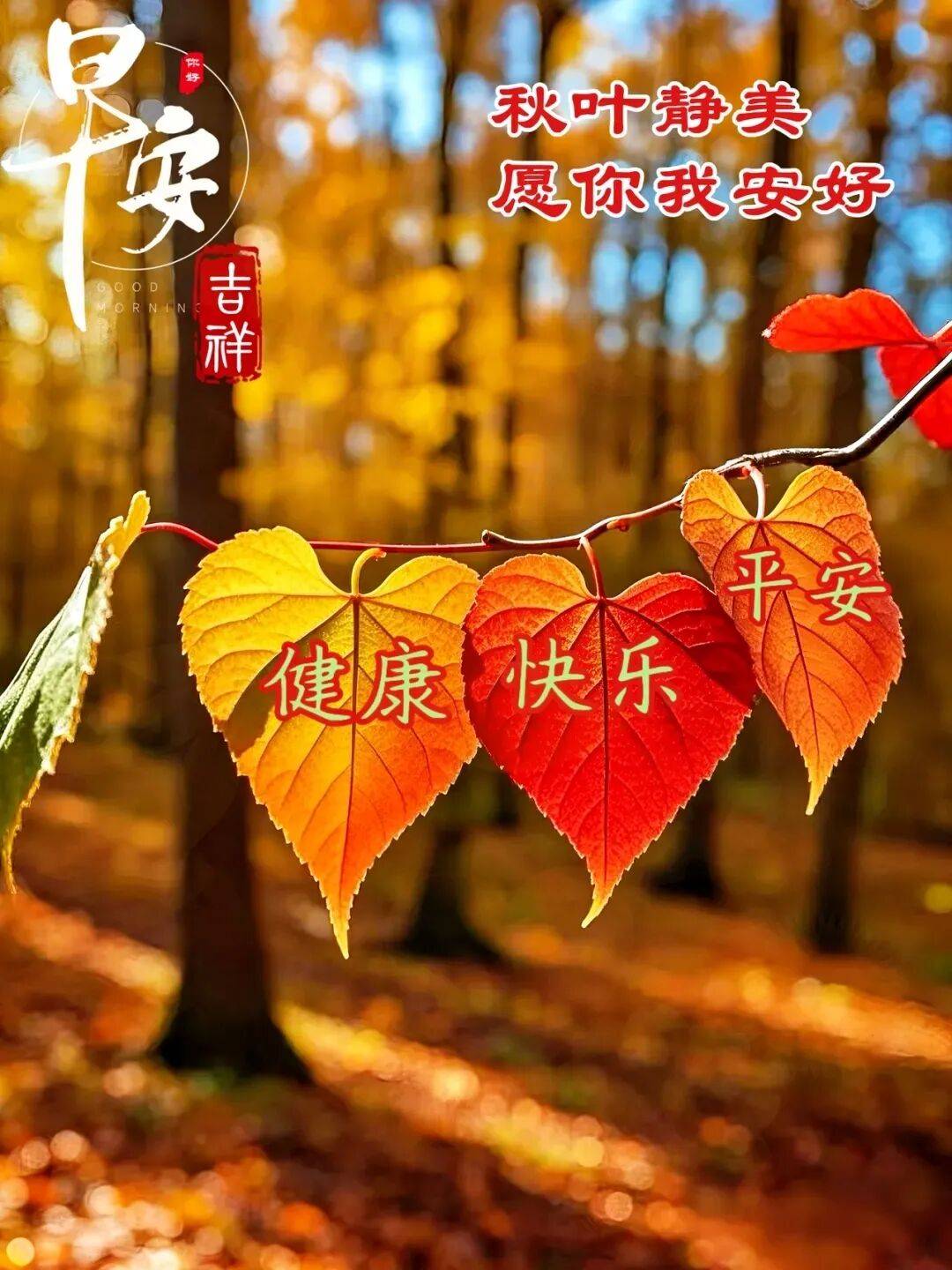 9月26日最漂亮早上好动态表情图片大全,早晨好动图美图大全