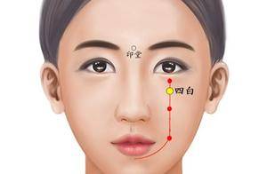 四白穴:藏在眼周的“胃经护眼穴”,一文懂定位、功效与使用指南_面部_眼球_经络
