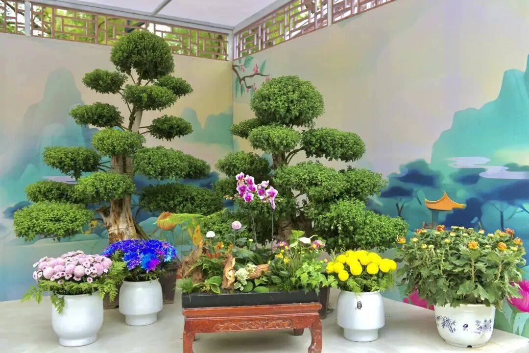 西城官宣！陶然亭公园菊花文化节来了