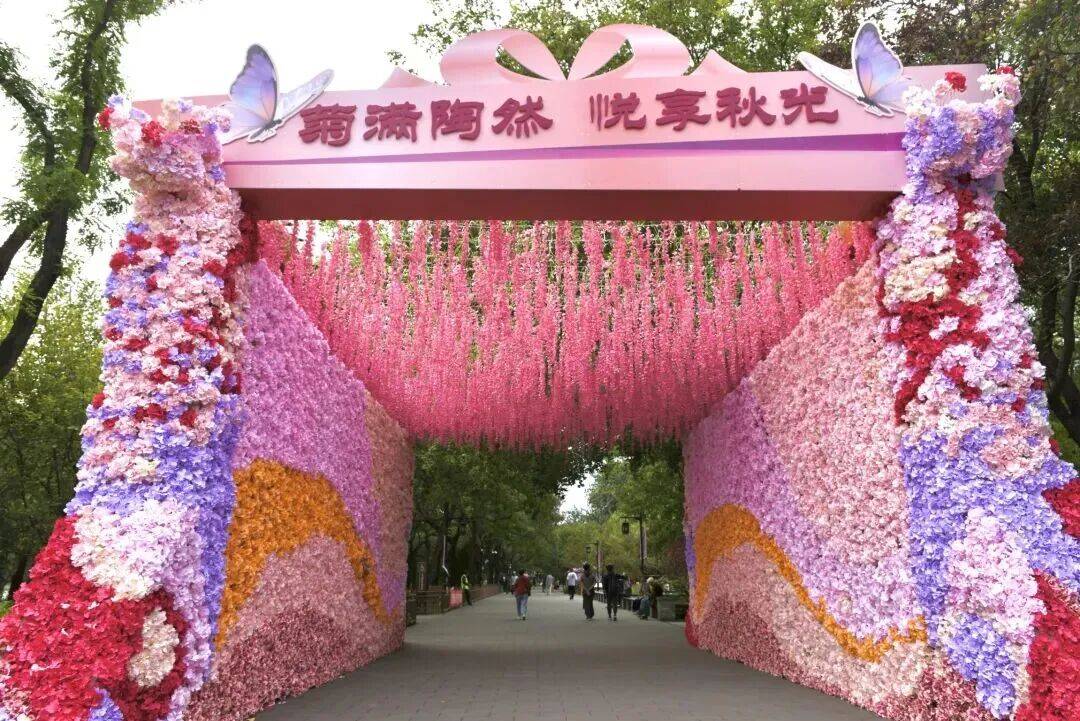 西城官宣！陶然亭公园菊花文化节来了