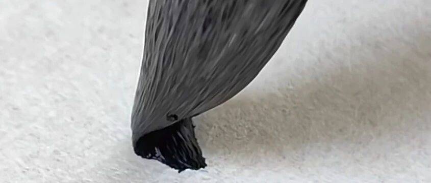 书法基本笔法——裹锋、绞锋_笔锋_线条_核心