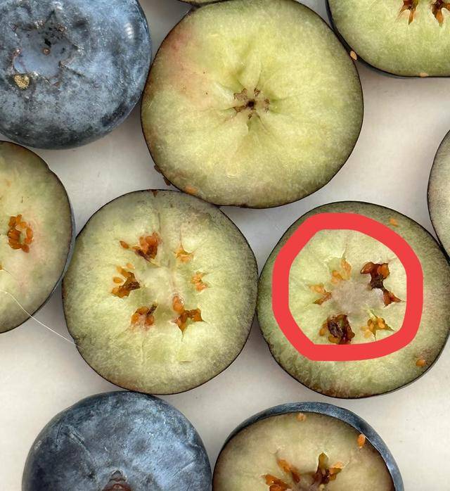 原创            国家终于辟谣了，这些“垃圾食品”含冤多年，其实可以放心大胆吃