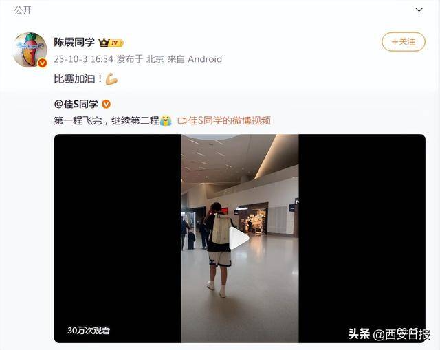 北京交警通报：陈某负事故全责；陈震发文回应