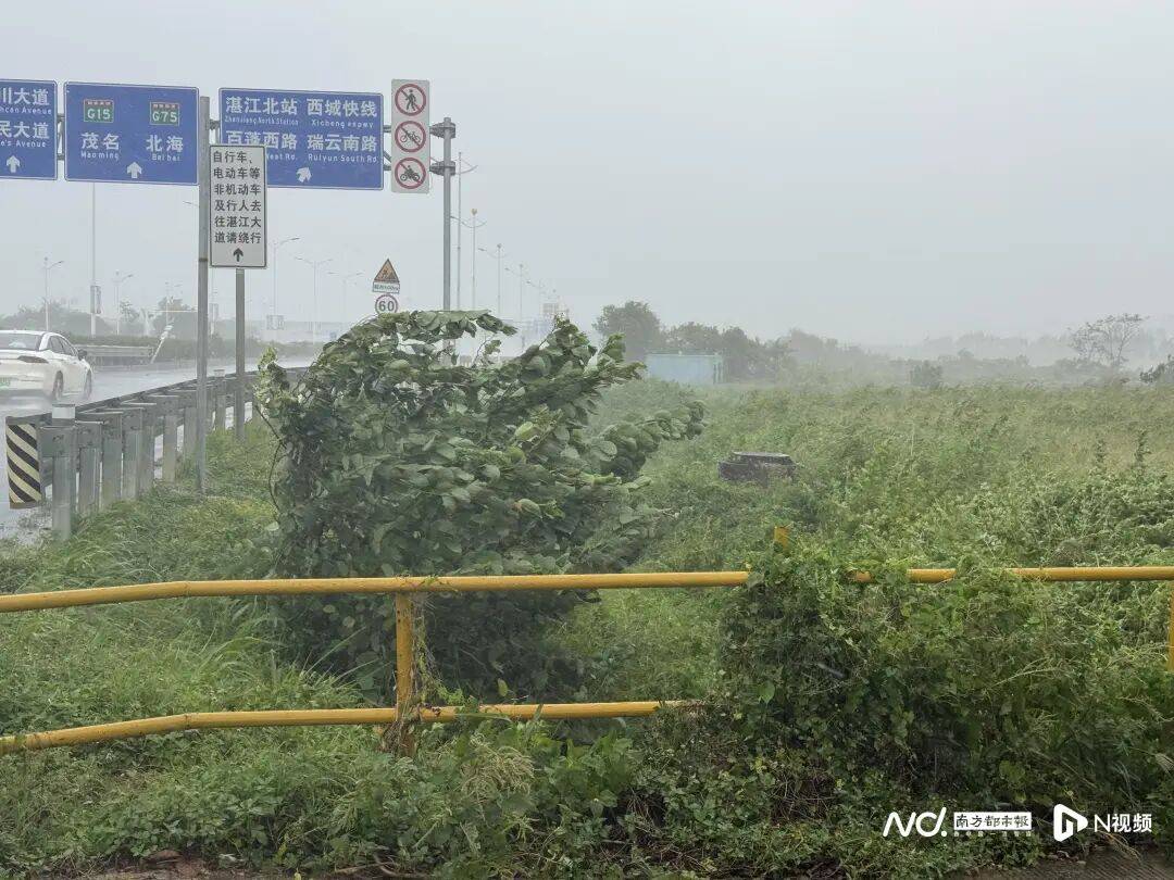 “麦德姆”已登陆！海水倒灌，多地宣布“五停”