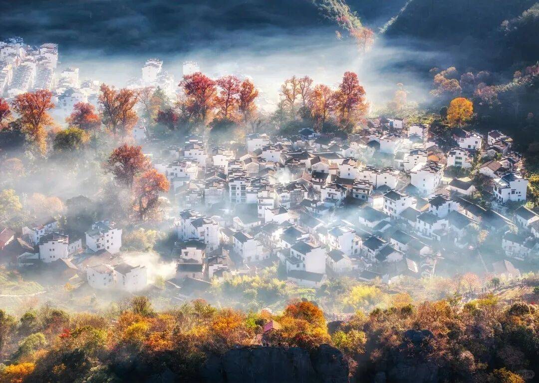 今朝寒露至，赣鄱秋正浓！