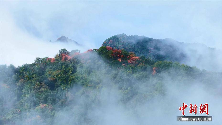 陕西西安：秦岭翠华山红叶云海美景同现