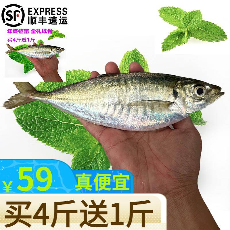 鳀鱼俗称叫什么鱼？这鱼你肯定吃过，名字超接地气！_Omega-_美味_餐桌上