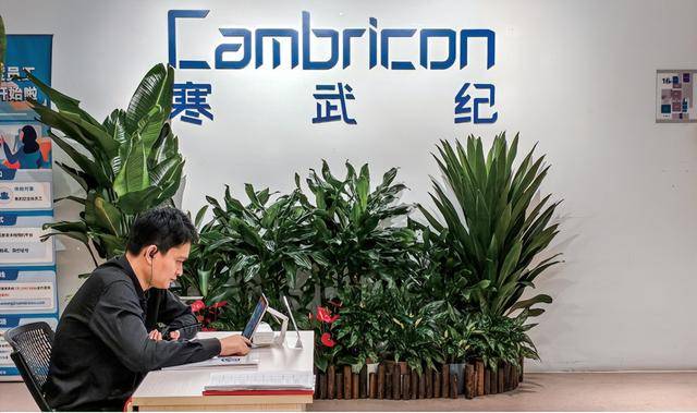 谁是寒武纪背后的大买家？