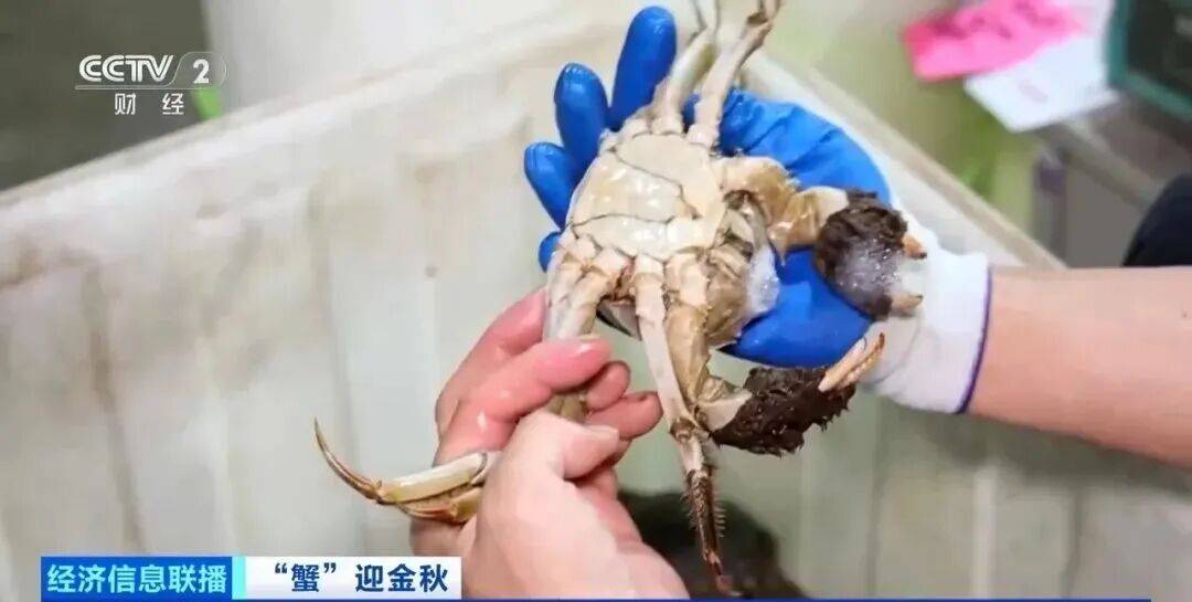 平均月入2万元，近些年需求还逐渐上升，啥职业这么香？