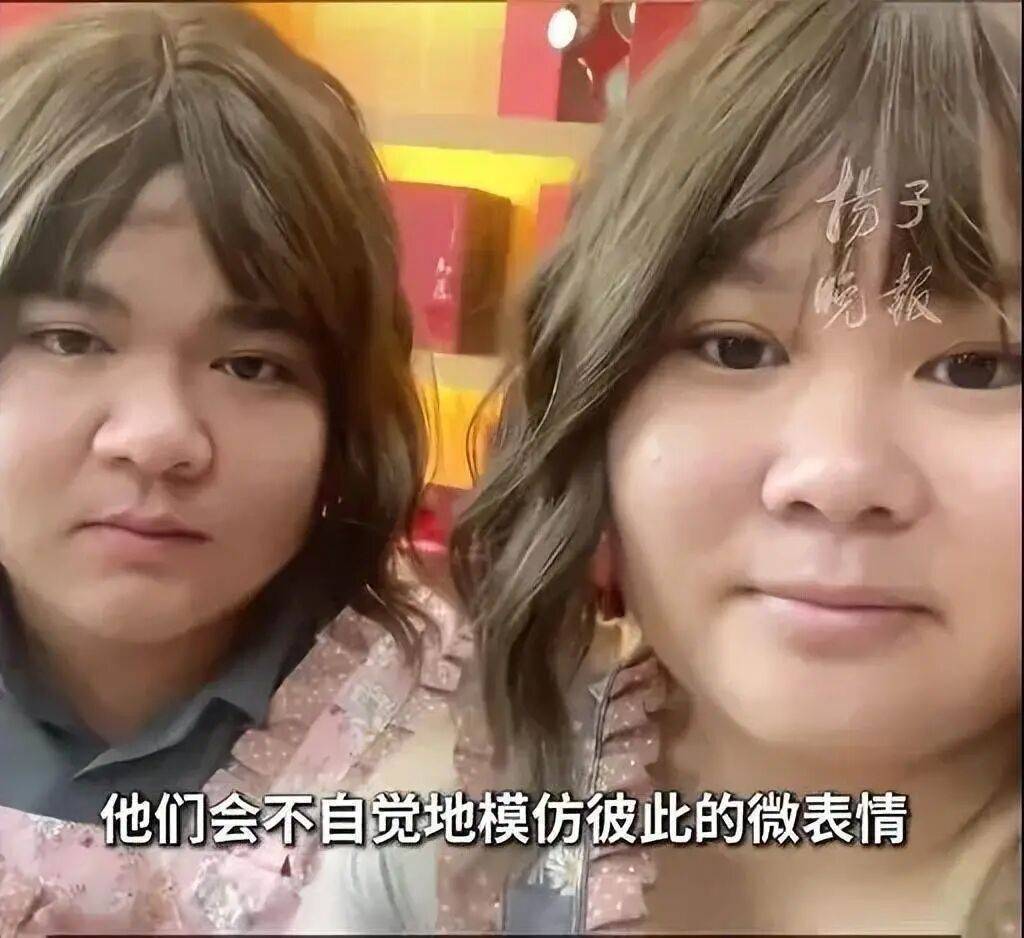广东一对夫妻长“复制粘贴脸”走红！网友：双胞胎都不敢长这么像