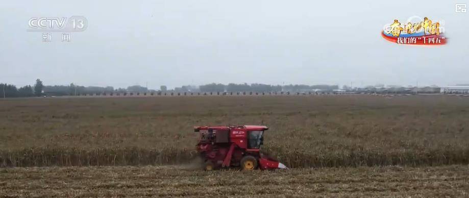 硬装备+软技术双发力！我国持续夯实农业应急救灾能力 粮食生产韧性更强