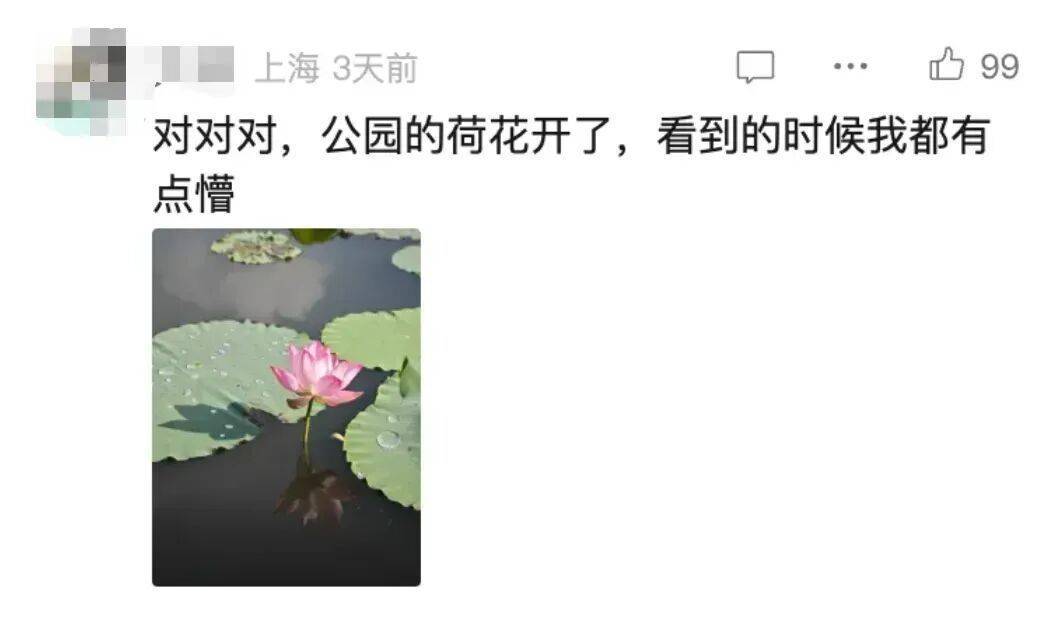 33.2℃！上海人民再度见证历史，10月中旬最高温度纪录已被刷新！还要热多久→