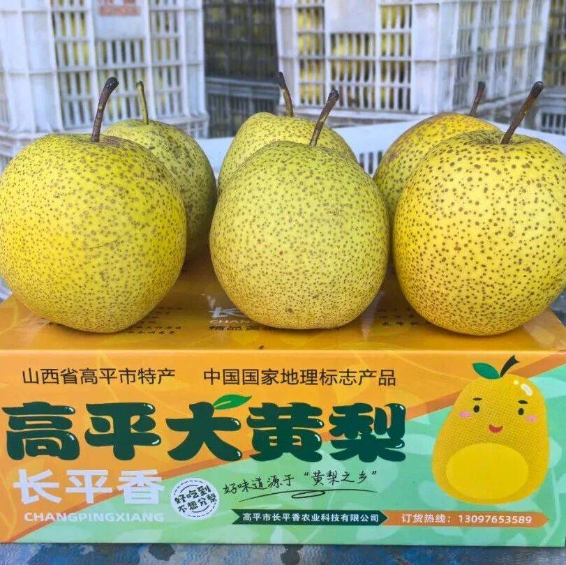 【电商助农 e路同行】周二下午4点半,长平香黄梨系列产品直播专场!_高平融_梨膏_庄村