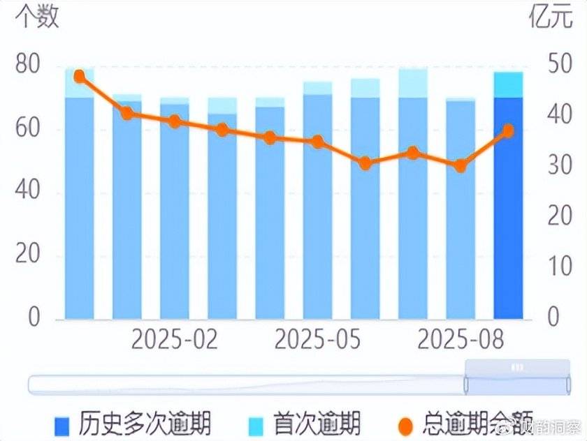 8家首次上榜 78家发债城投票据逾期