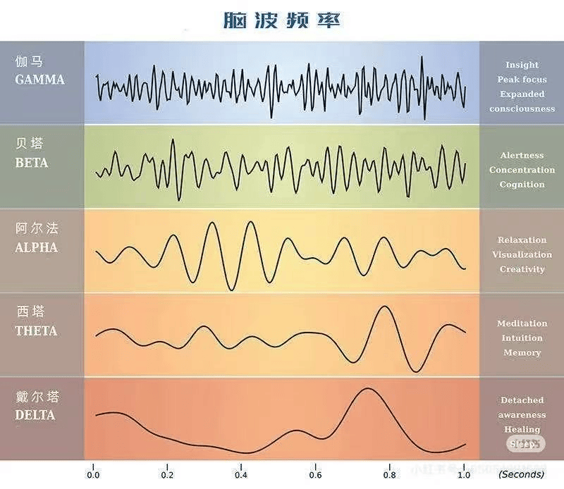 它们产生的细胞外电场会叠加形成有节律,不同频率的脑电波