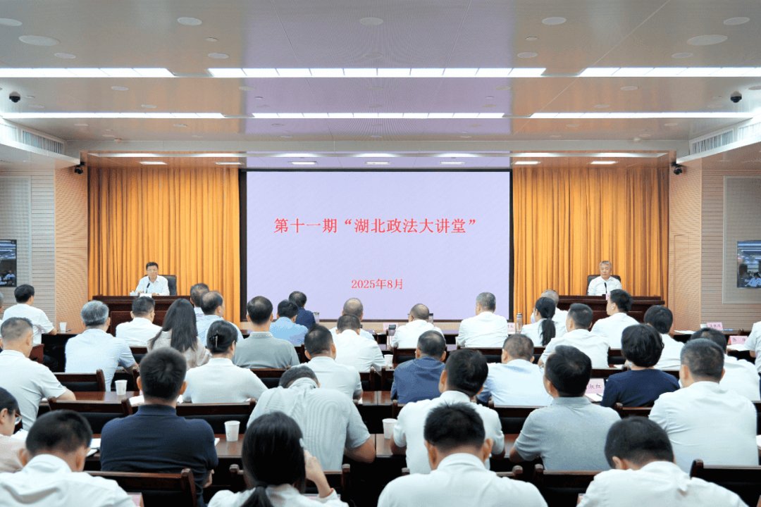 湖北政法机关全力防风险保安全护稳定促发展