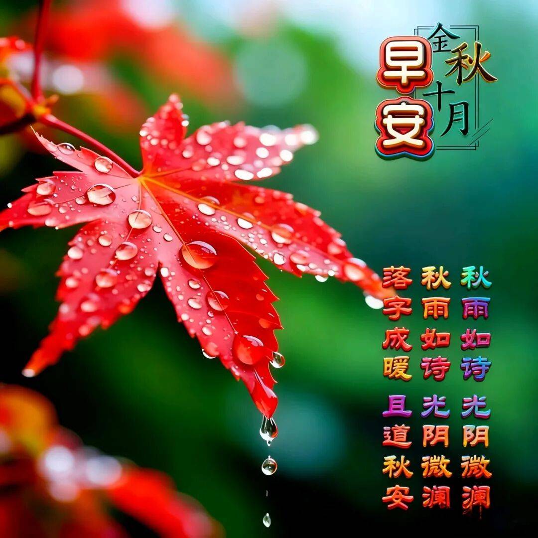 今日早上好最新版本!2025 早安图片最新,秋天早上好最新版问候迎秋风