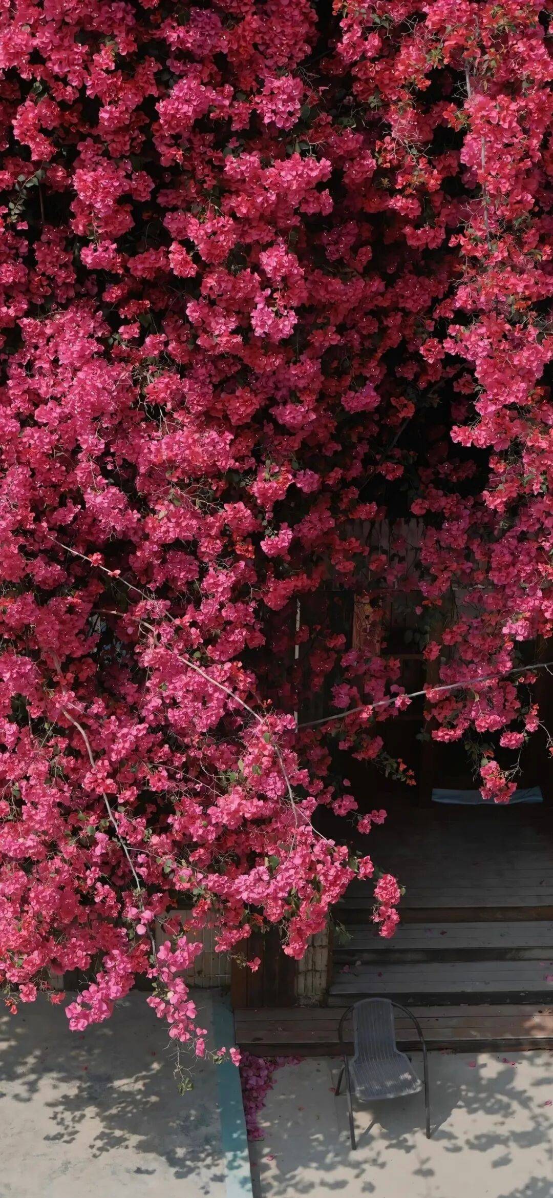 ios26裸眼3d景深壁纸