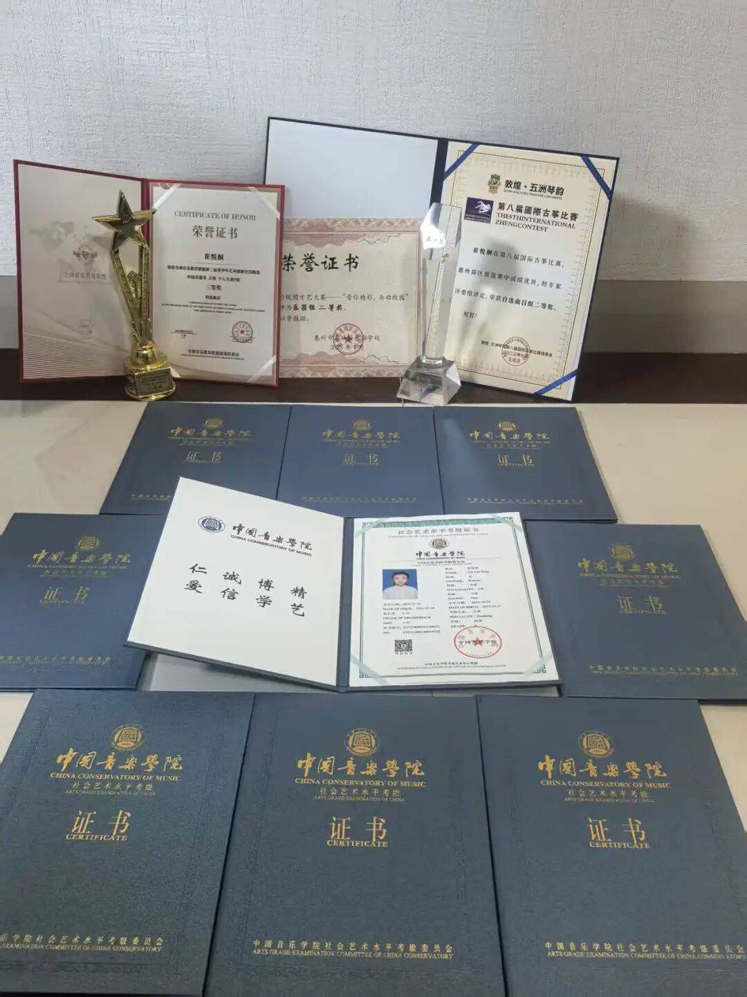 奋力向上指筝朝夕--崔悦桐