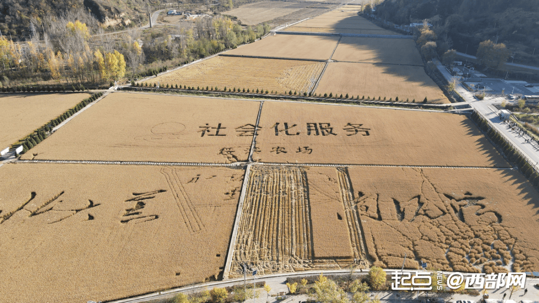 今天，我们为何依然需要这颗“红星”？