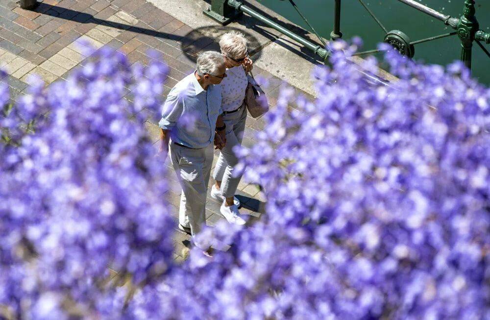 别说自己老了，大脑功能或60岁时达巅峰