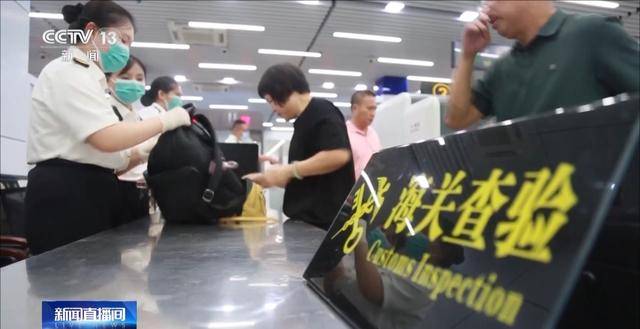 海关查获36头红棕象甲！入境旅客背包里的“当地美食”竟是有害外来入侵物种