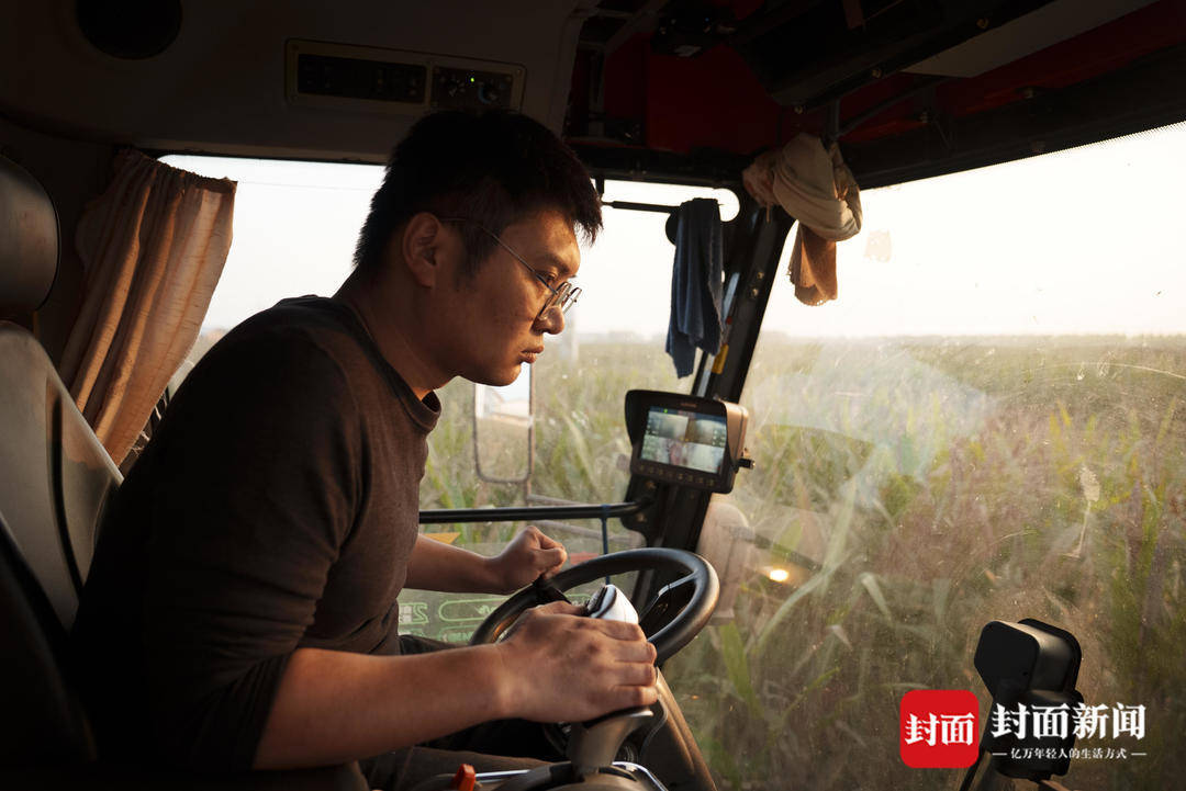 破记录秋雨致玉米发芽霉变，河南焦作种植户泥泞中忙抢收｜图集