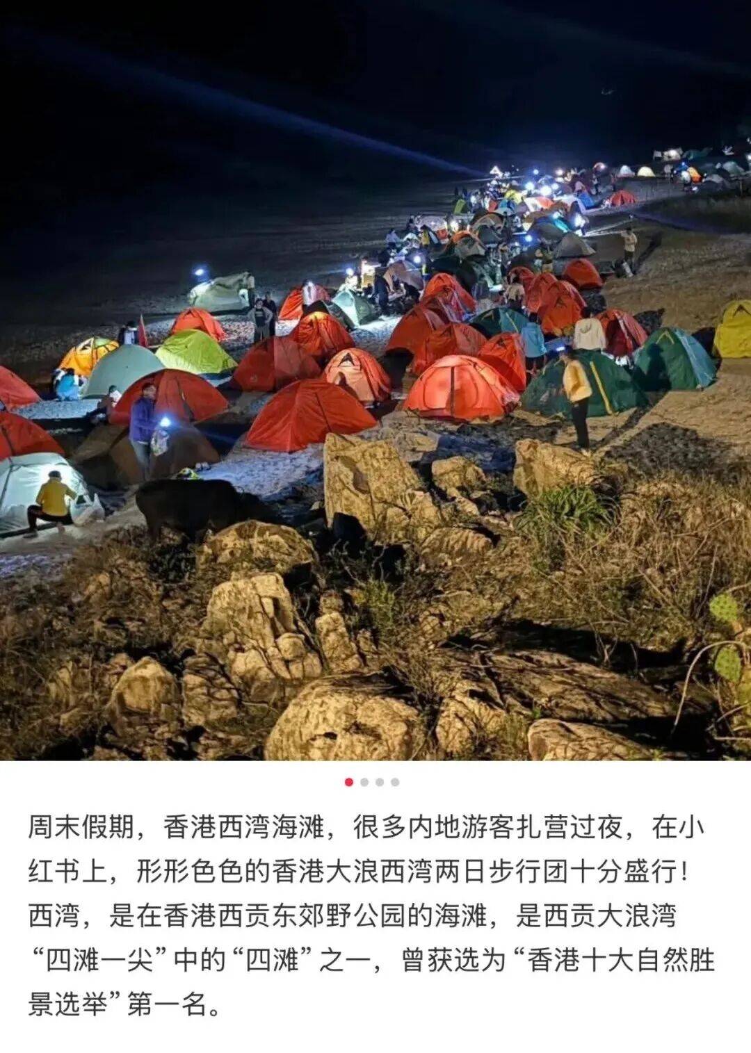 帐篷大酒店，收留了多少不想被割的年轻人