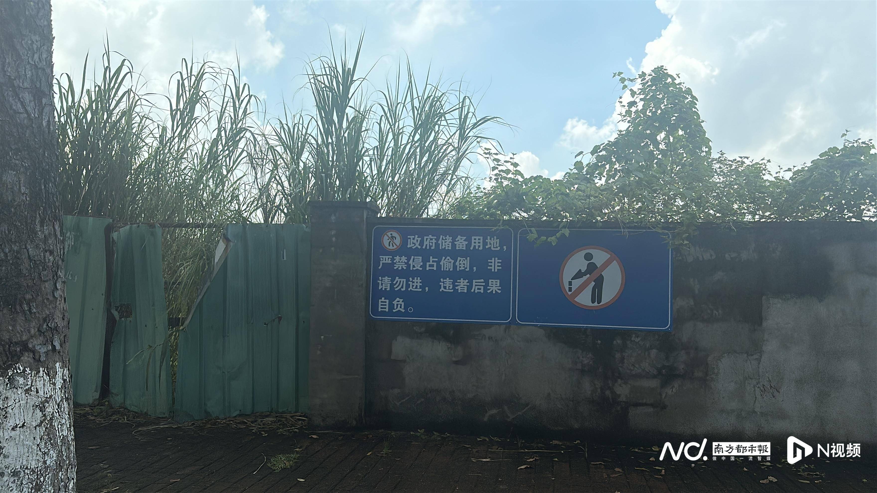 东莞四家企业起诉讨土地补偿 道滘镇回应:推动评估完成补偿(图3)