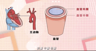 近期呈高发趋势，4类人群要警惕！