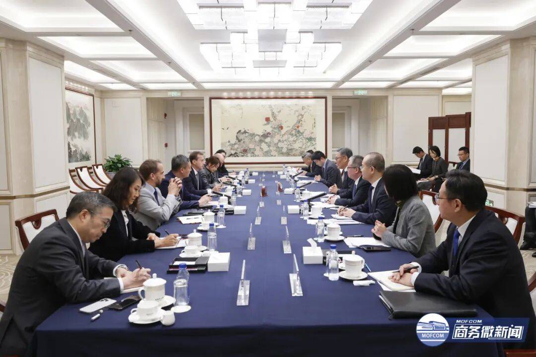 王文涛部长会见空客公司首席执行官傅里