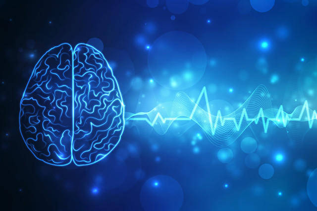 为何人越老越感觉时间过得快?新研究:或因脑子“转不动”了