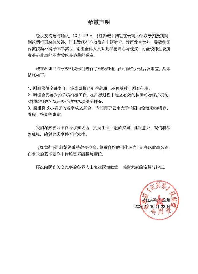 《红舞鞋》剧组高校内拍摄时撞死流浪猫？凌晨致歉：涉事司机引咎辞职