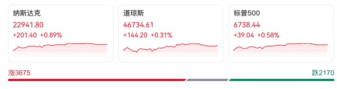 全线大涨！