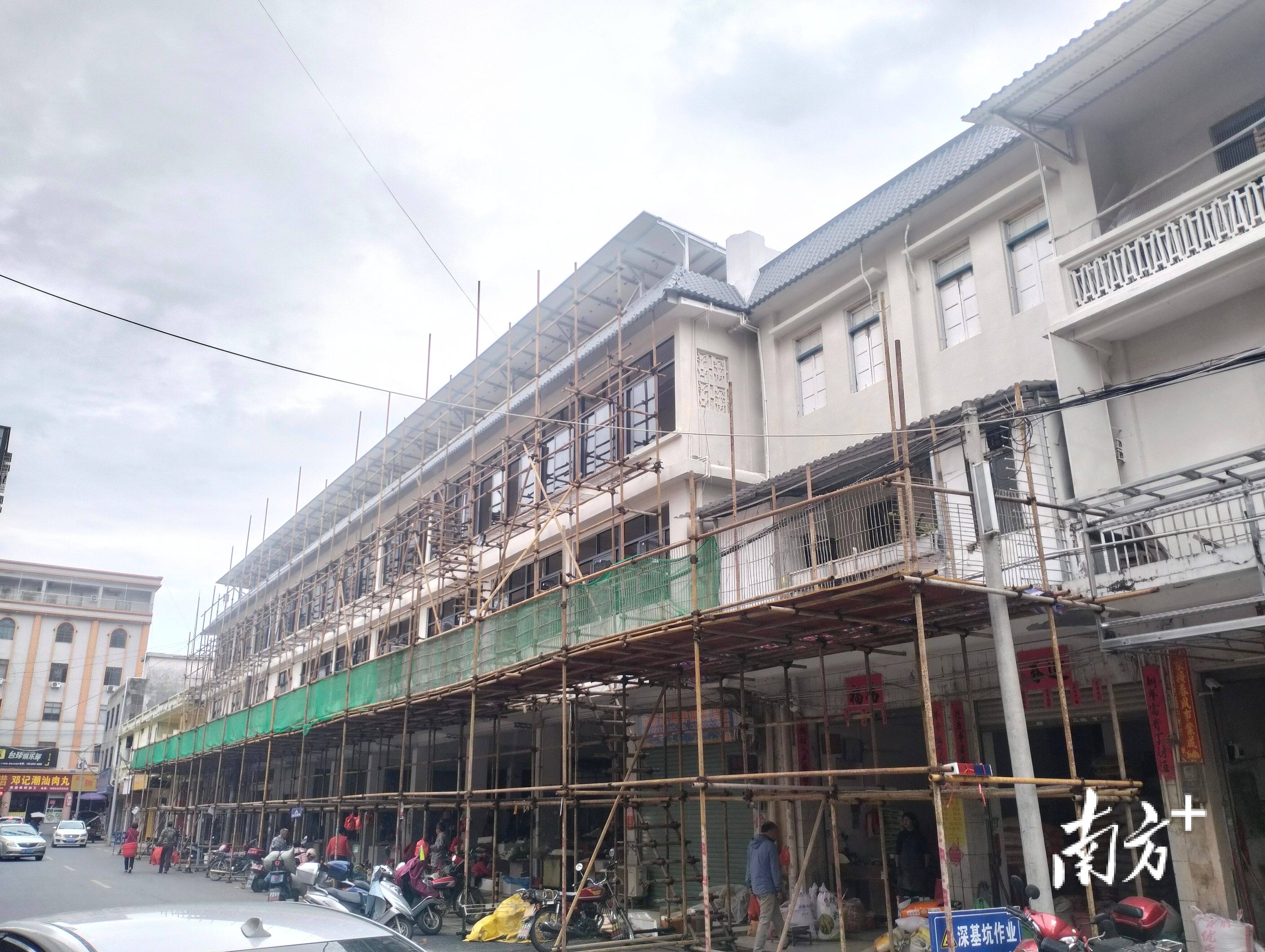 茶果小镇创业忙,高州新垌七大项目建设如火如荼