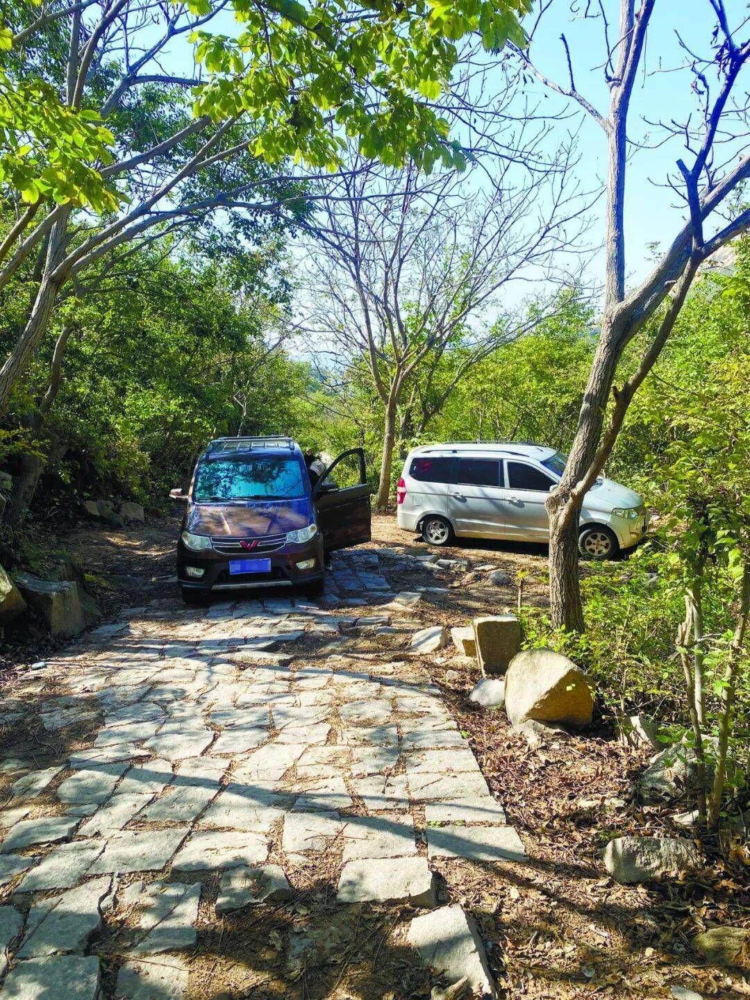 开云体育- 开云体育官方网站- APP 最新2025盘山景区