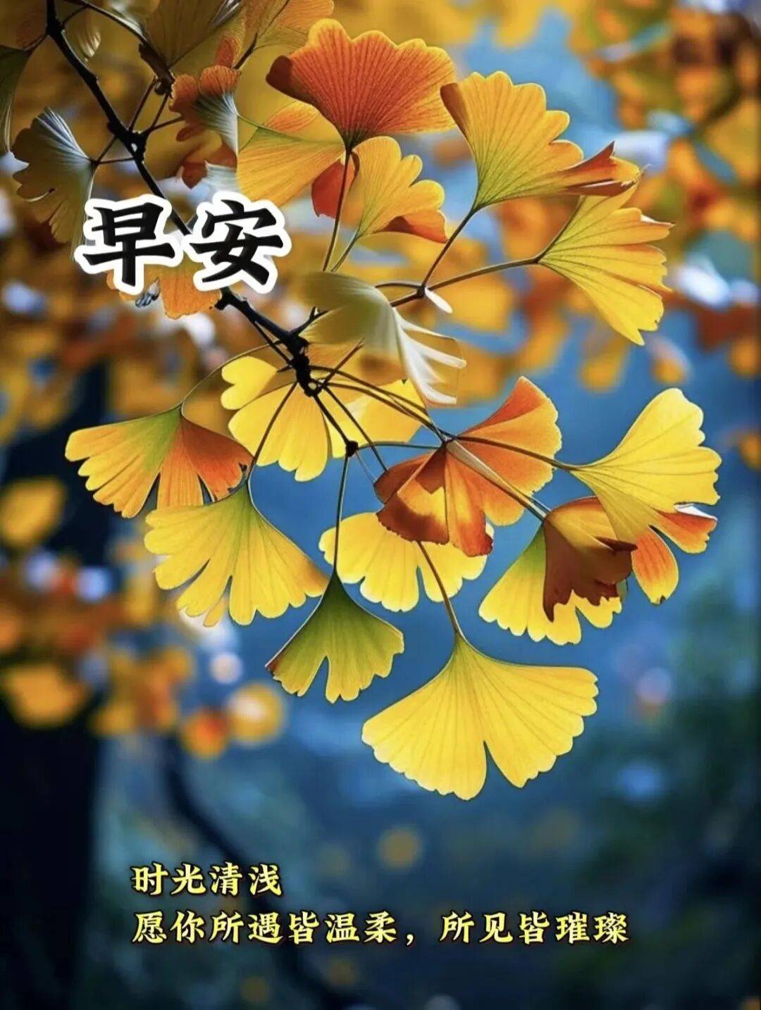 10月25日最漂亮早上好动态表情图片大全,早晨好动图美图大全