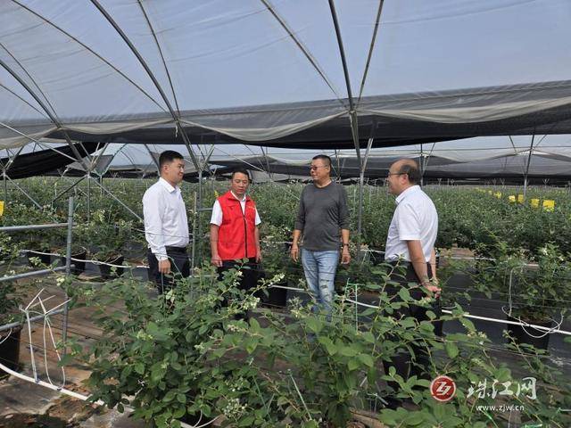 深耕科技投资 以长期主义践行金融“五篇大文章”