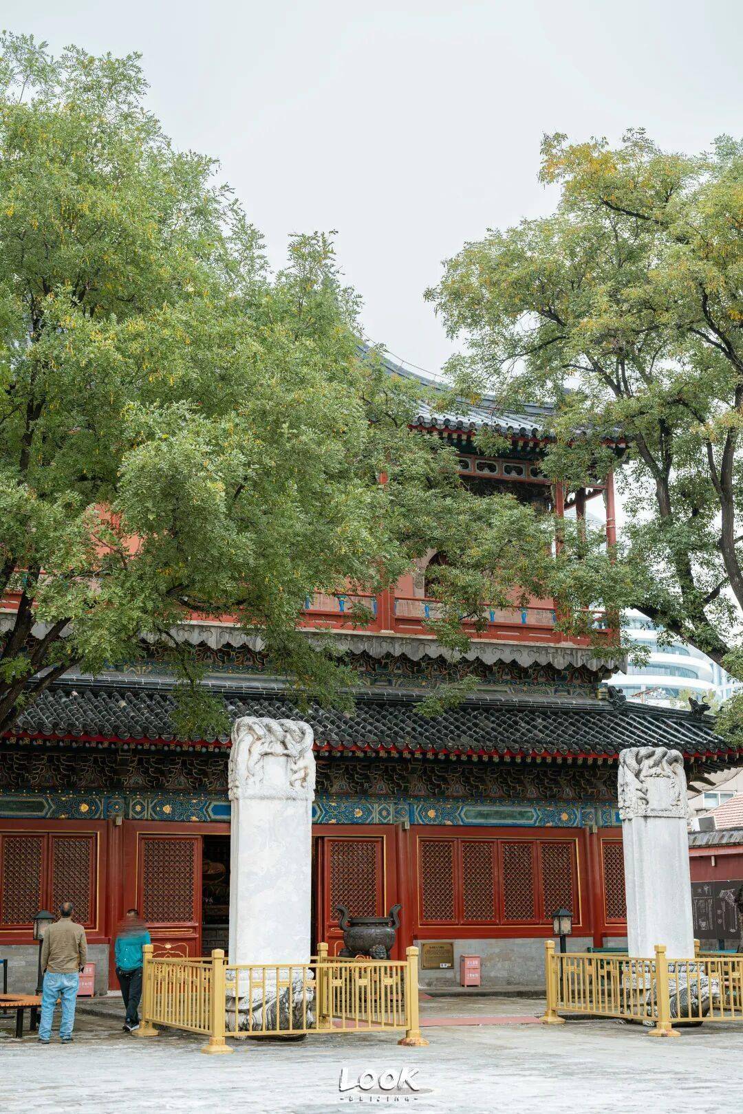 如来殿上层是万佛阁建筑采用高规格的黑琉璃瓦庑殿顶前方的两棵古槐