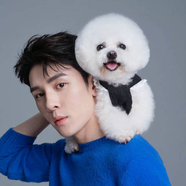 李佳琦辛选风波不断 双11直播带货乱象有何“病根”？