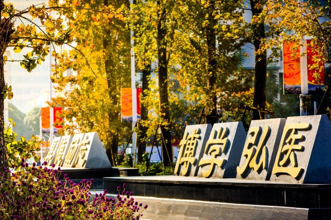 第三届全国文明校园风采展示丨广西医科大学