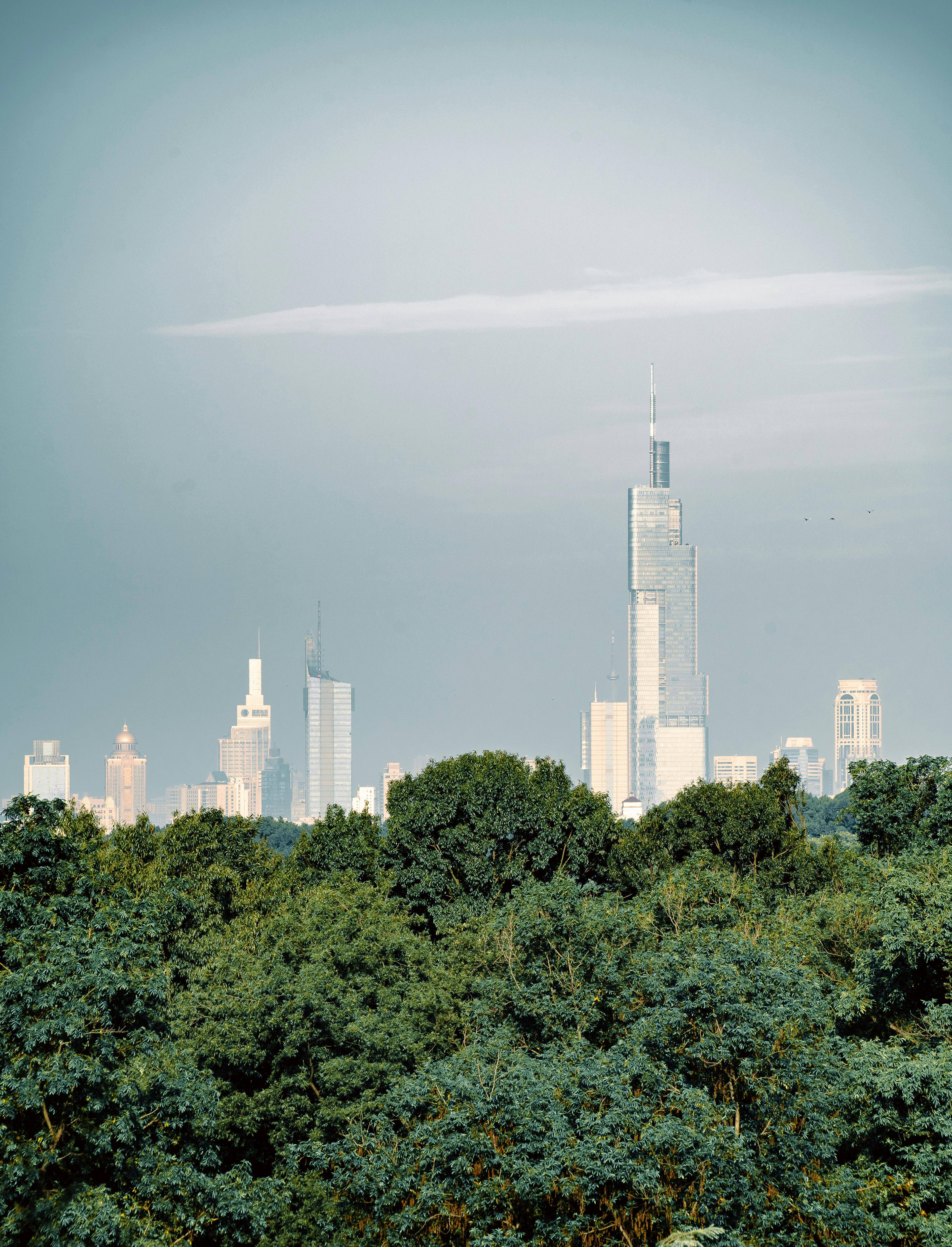 美国年轻成年人精神刺激药物使用障碍激增:我们能从中学到什么?