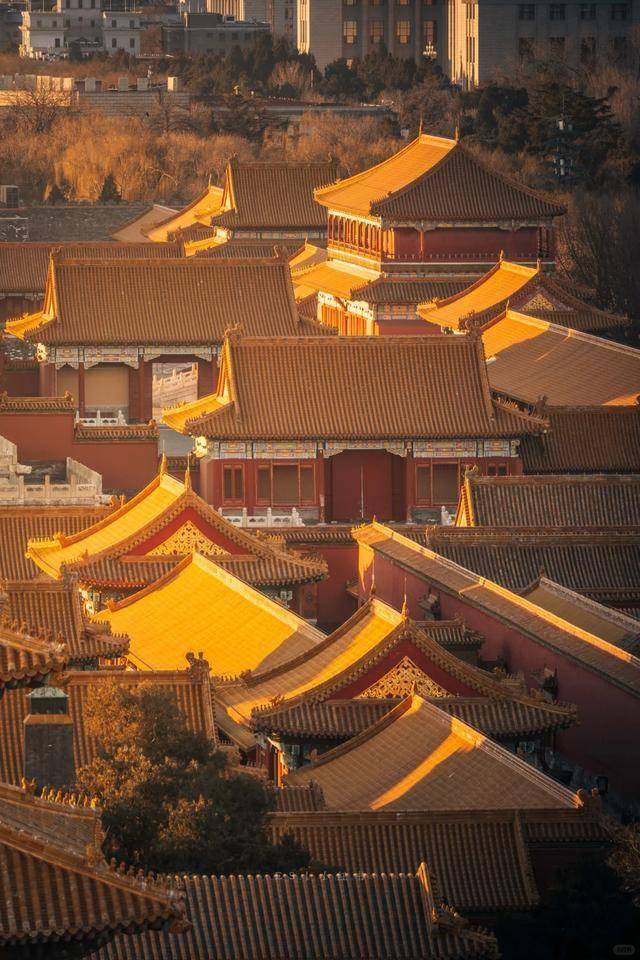 北京正规旅行社排行榜：这几家用不一样的方式打开故宫的历史大门