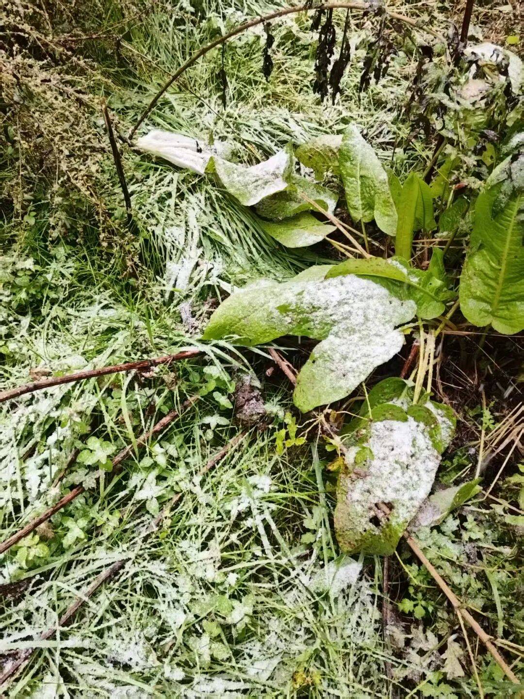 雪啦接下来的昆明