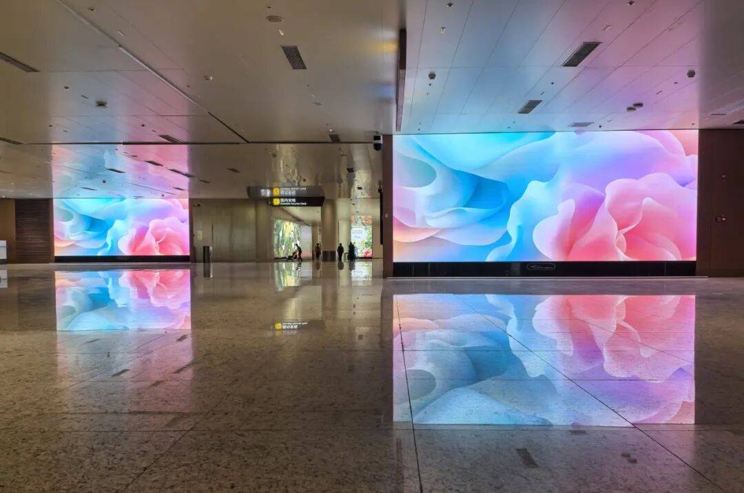 光影织繁花,白云启新程