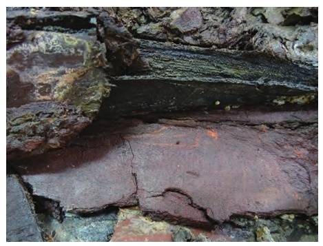 首次发现！海昏侯墓出土秦汉时期全本《诗经》