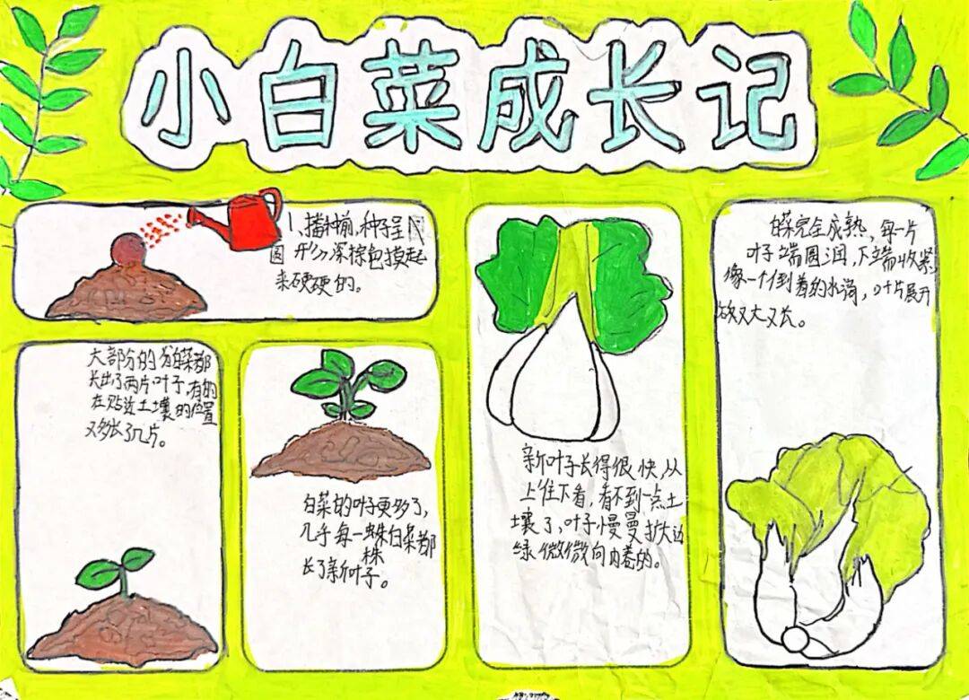 【前进教育集团·东小校区】 笔尖绘生机 镜头藏自然