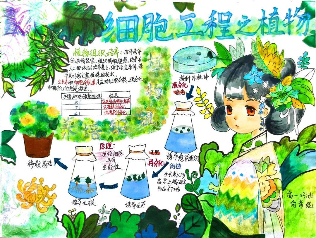 绘生命奥秘 展学科风采