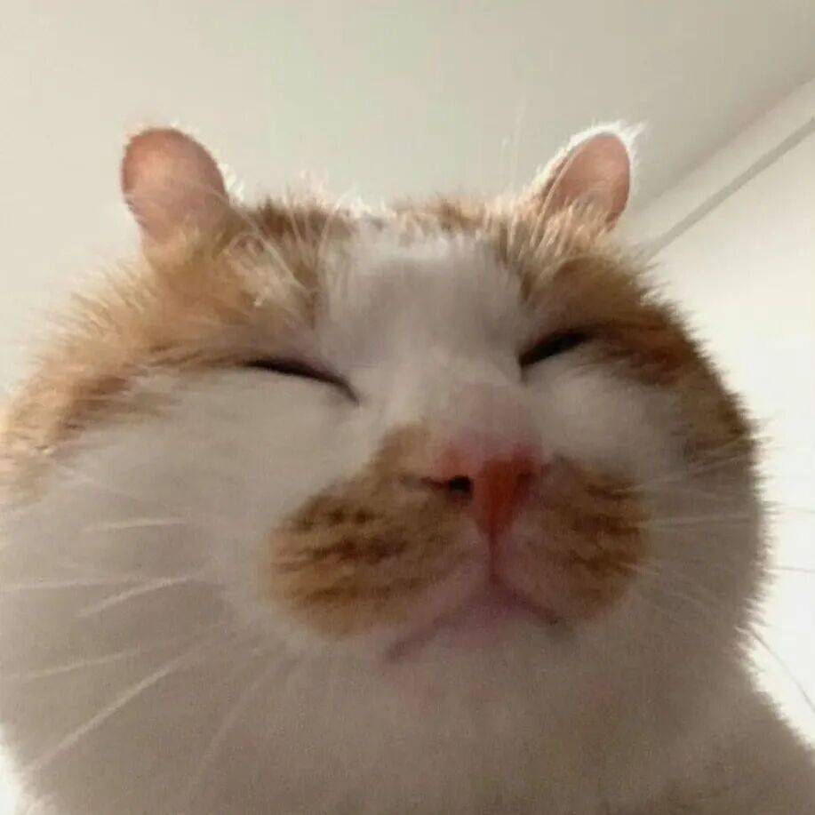 可爱搞怪头像来咯