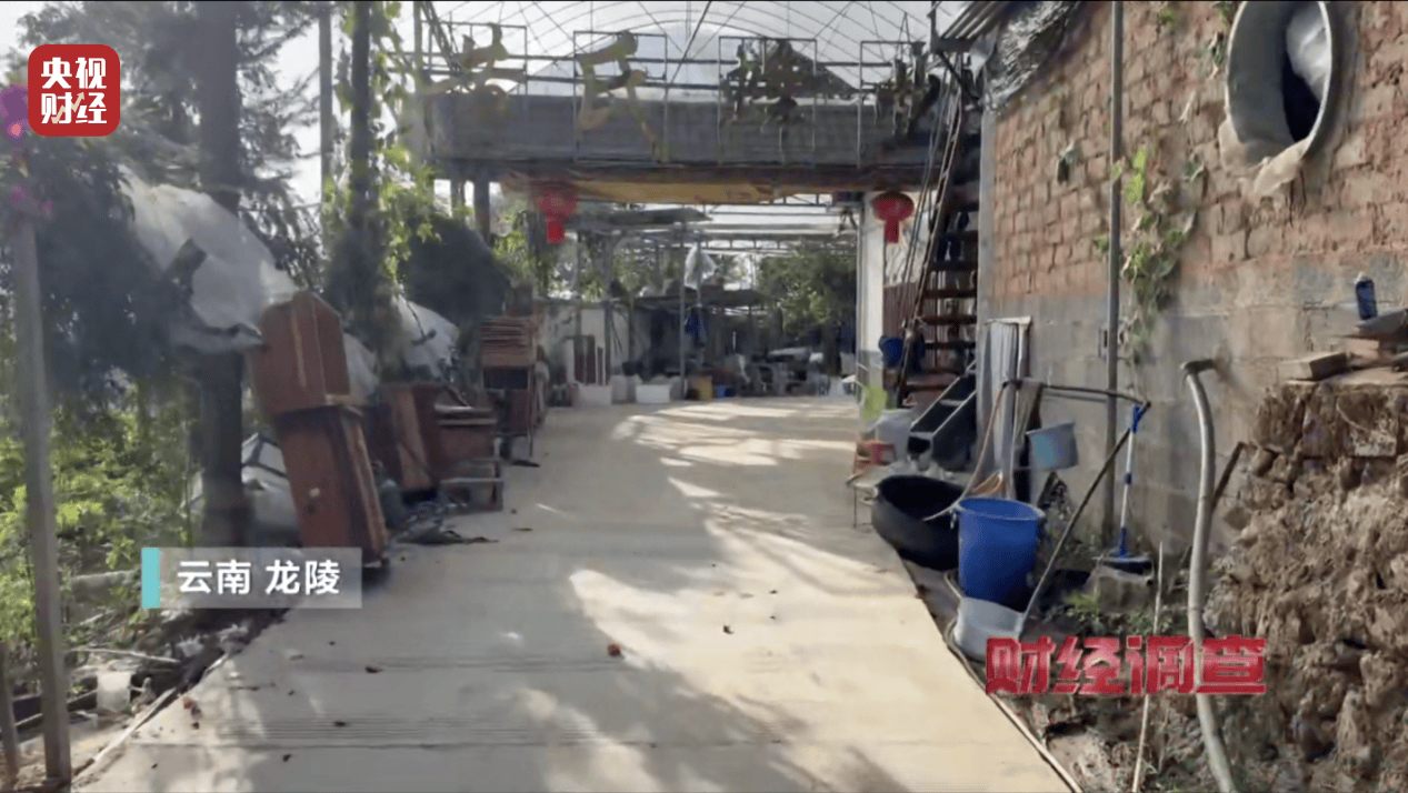 “杀人蜂”散养山头,无序滥养亟待监管,总台《财经调查》曝光→ “杀人蜂”散养山头,无序滥养亟待监管,总台《财经调查》曝光→